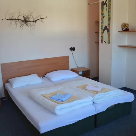 Pohoda Hotel *